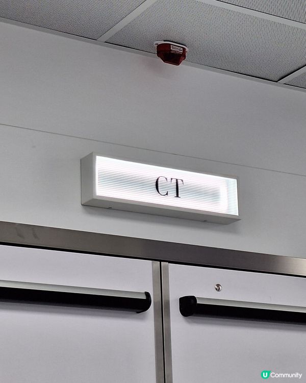 今日同薯媽慶生🥳！毛孩健康至上💪！