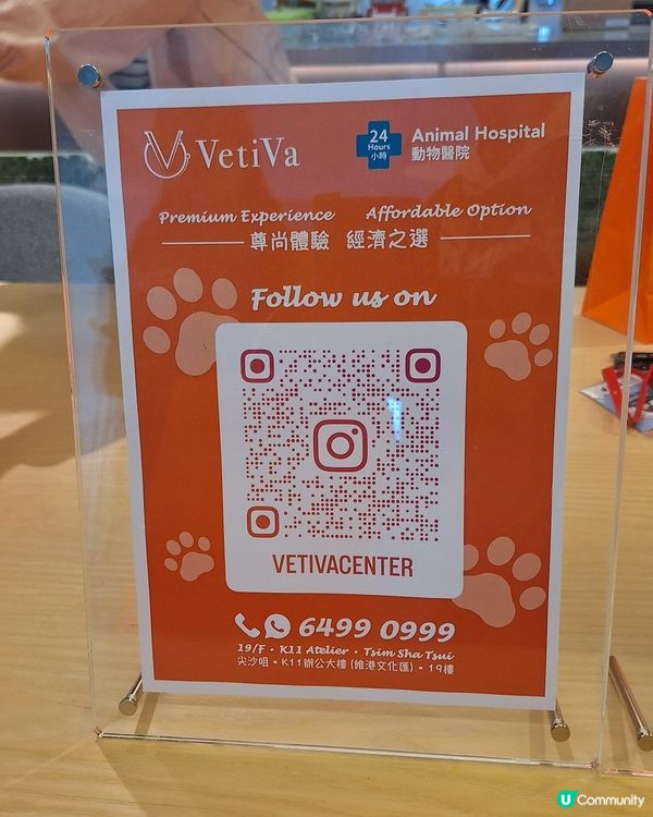 今日同薯媽慶生🥳！毛孩健康至上💪！