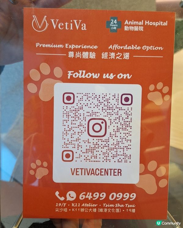 今日同薯媽慶生🥳！毛孩健康至上💪！