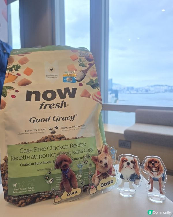 今日同薯媽慶生🥳！毛孩健康至上💪！