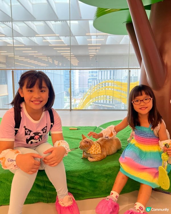 貓奴必去！深圳貓貓Cafe😻 低至¥29位