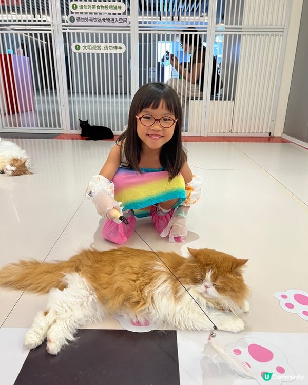 貓奴必去！深圳貓貓Cafe😻 低至¥29位