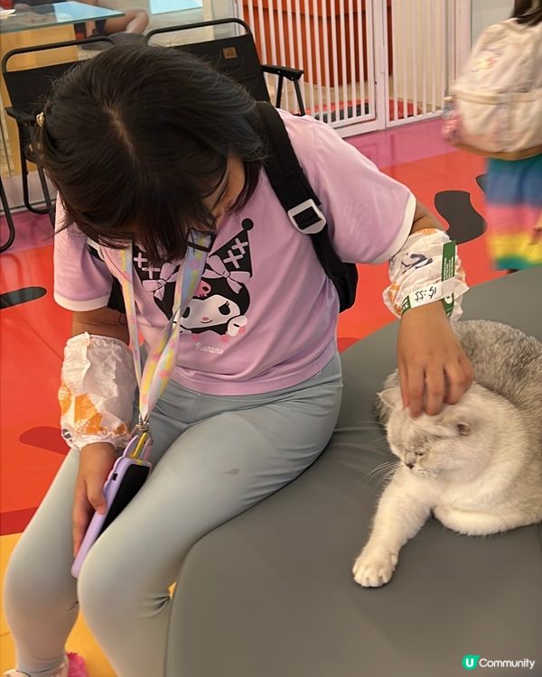 貓奴必去！深圳貓貓Cafe😻 低至¥29位