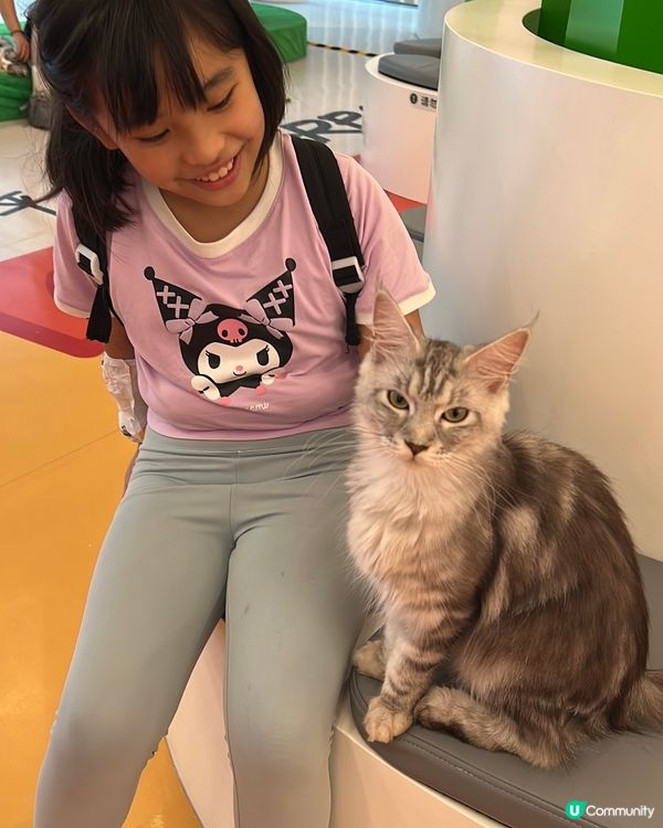 貓奴必去！深圳貓貓Cafe😻 低至¥29位