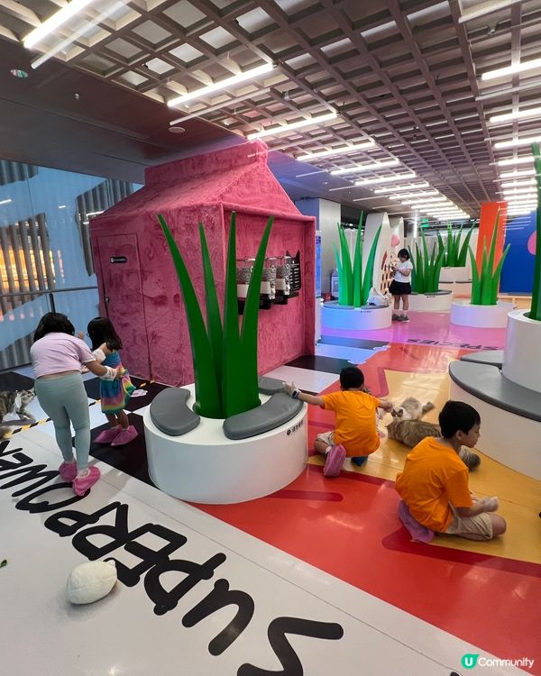 貓奴必去！深圳貓貓Cafe😻 低至¥29位