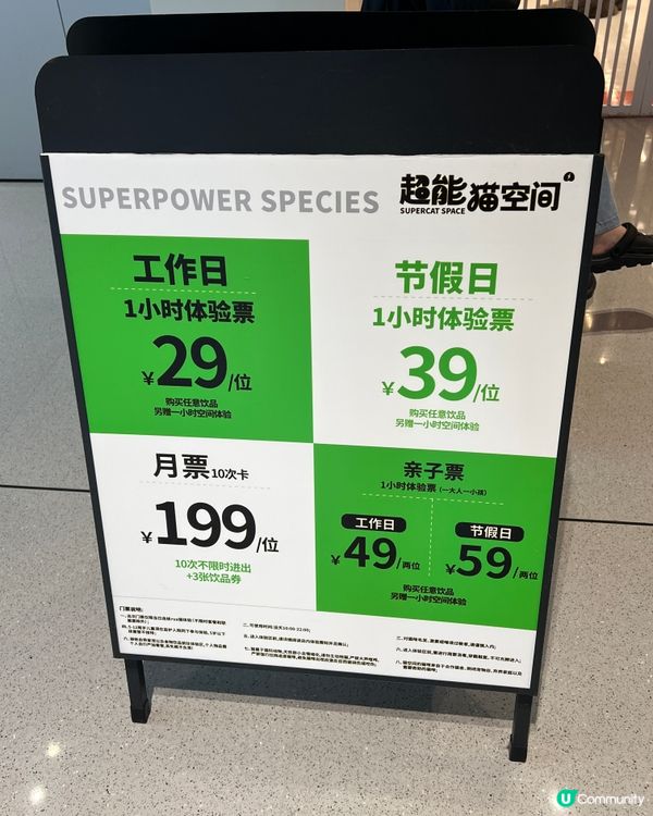 貓奴必去！深圳貓貓Cafe😻 低至¥29位