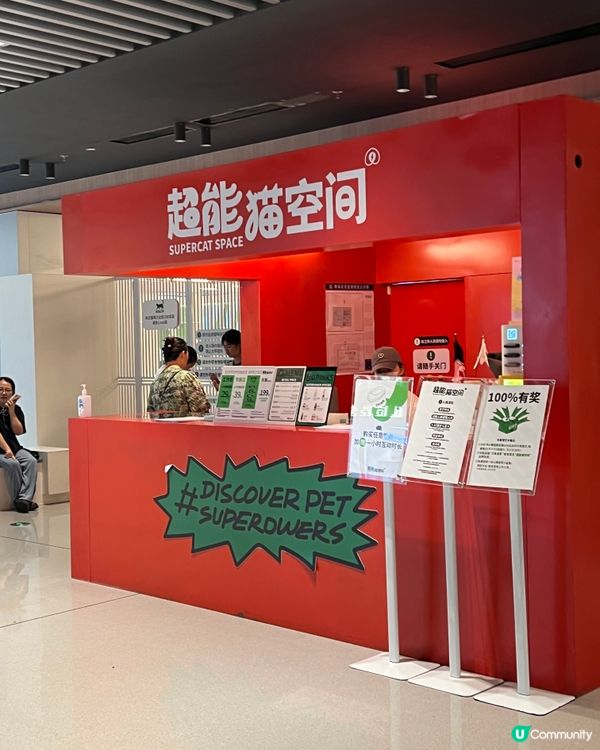 貓奴必去！深圳貓貓Cafe😻 低至¥29位