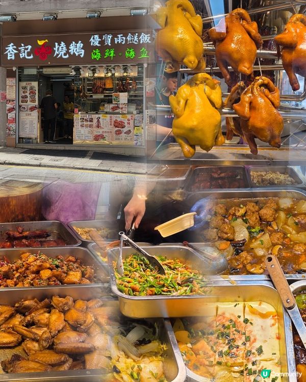 親民極緻兩餸飯🍲