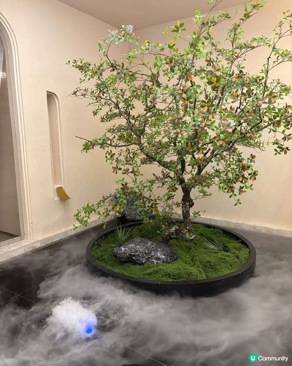 深圳福田足道💆🏻‍♀️！沉浸式解壓體驗！🔥