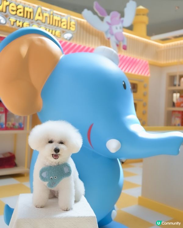 愉快動物餅店開張啦！童年回憶返晒嚟！🥳