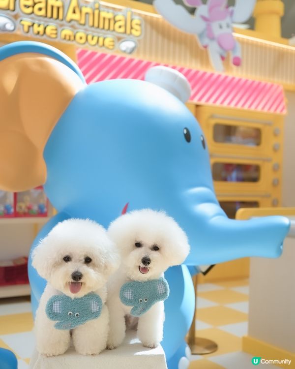 愉快動物餅店開張啦！童年回憶返晒嚟！🥳