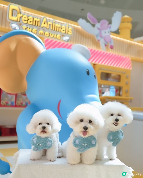 愉快動物餅店開張啦！童年回憶返晒嚟！🥳