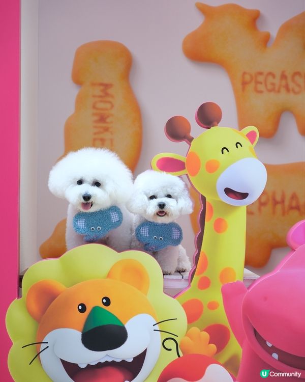 愉快動物餅店開張啦！童年回憶返晒嚟！🥳