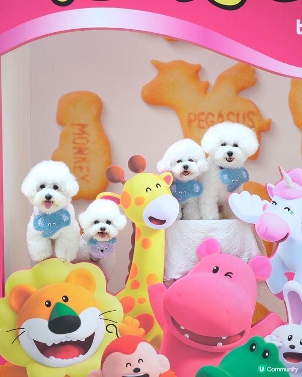 愉快動物餅店開張啦！童年回憶返晒嚟！🥳