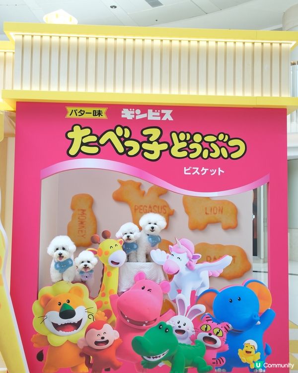 愉快動物餅店開張啦！童年回憶返晒嚟！🥳