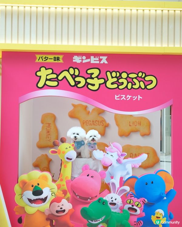 愉快動物餅店開張啦！童年回憶返晒嚟！🥳