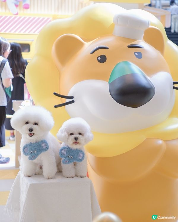 愉快動物餅店開張啦！童年回憶返晒嚟！🥳