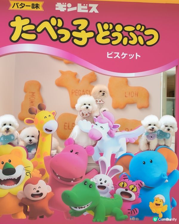 愉快動物餅店開張啦！童年回憶返晒嚟！🥳