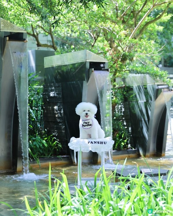 都市水簾洞打卡📸！清涼消暑一流！💦