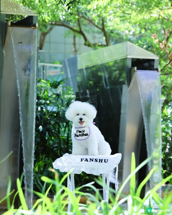 都市水簾洞打卡📸！清涼消暑一流！💦