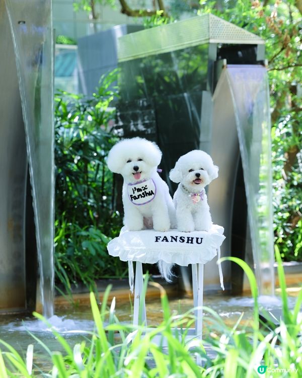 都市水簾洞打卡📸！清涼消暑一流！💦