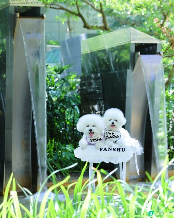 都市水簾洞打卡📸！清涼消暑一流！💦