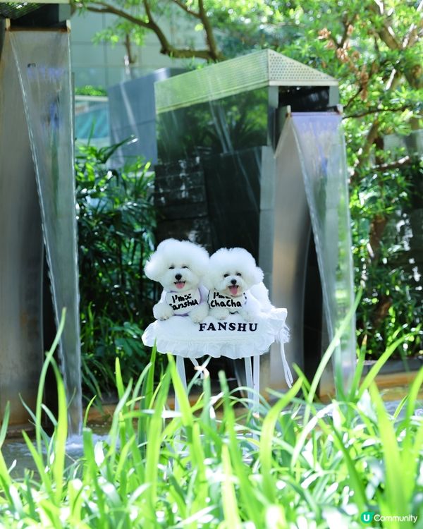 都市水簾洞打卡📸！清涼消暑一流！💦