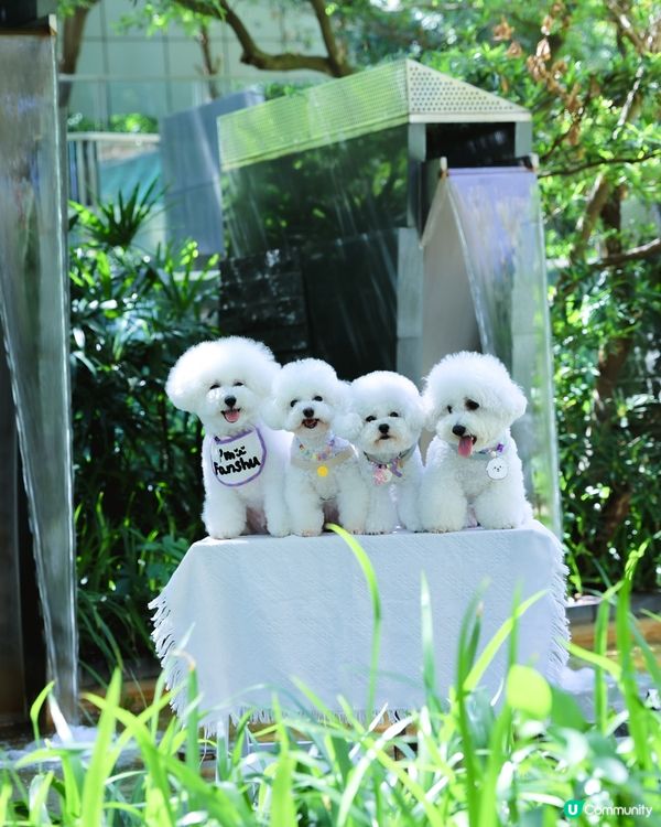 都市水簾洞打卡📸！清涼消暑一流！💦