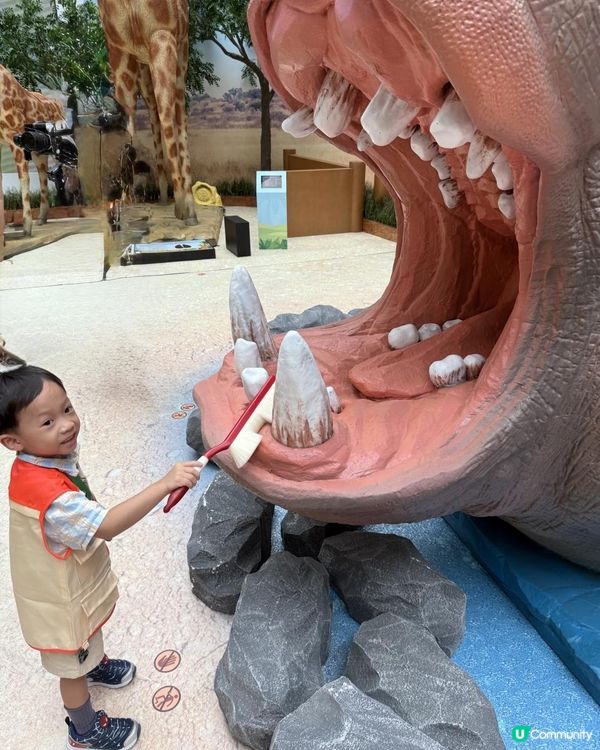 奧海城 X STAYFUN「見習動物護理員」