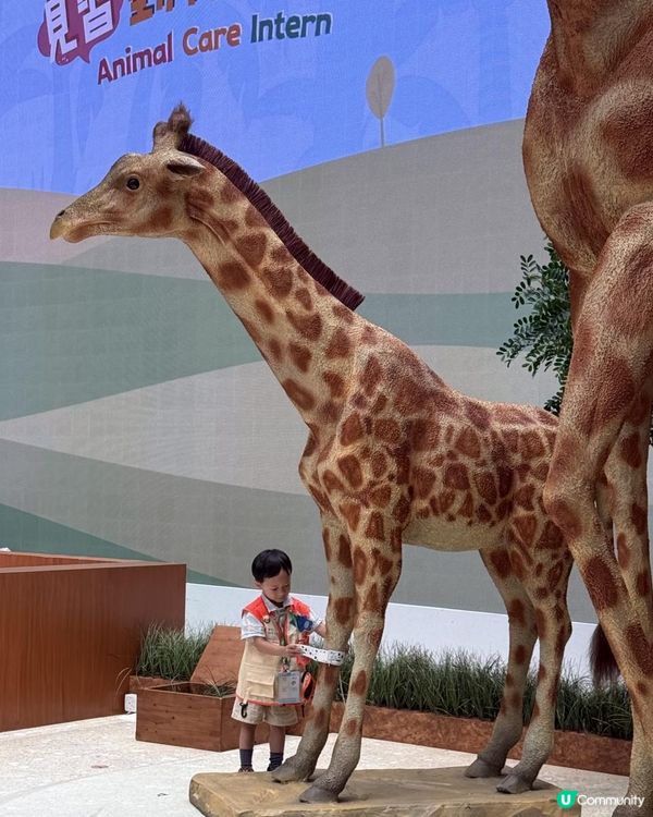 奧海城 X STAYFUN「見習動物護理員」