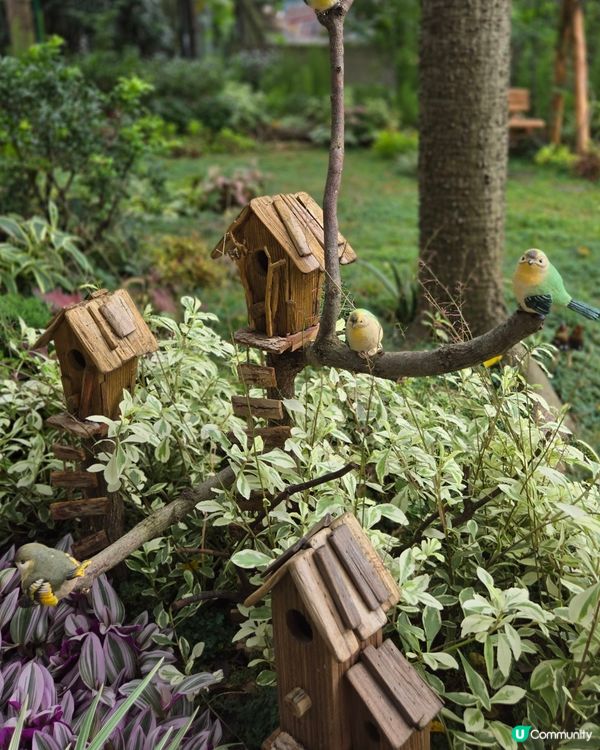 難得的遊香港公園