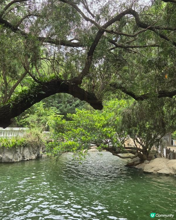 難得的遊香港公園