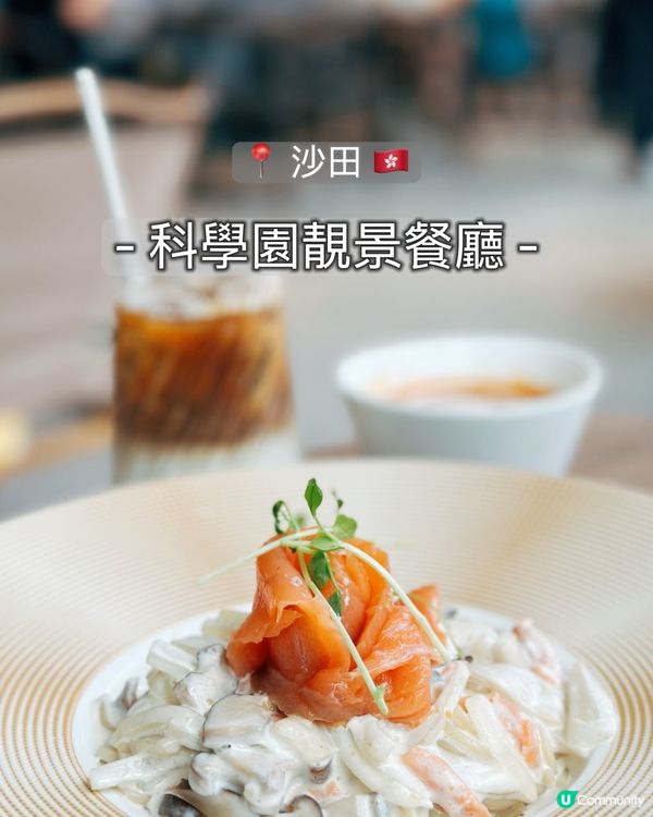 星期六日去邊度好？科學園chill下🥳！