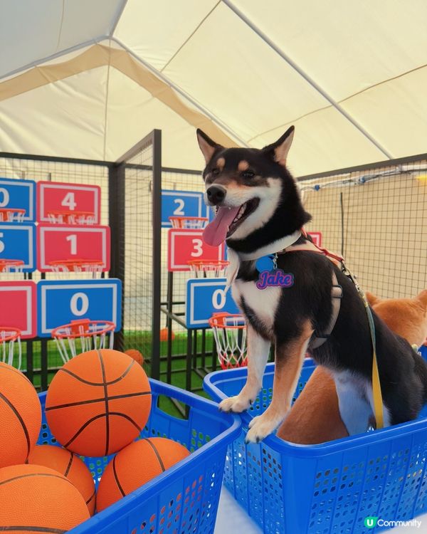 暑假玩樂推介！啟德嘉年華🎡！ (14字)