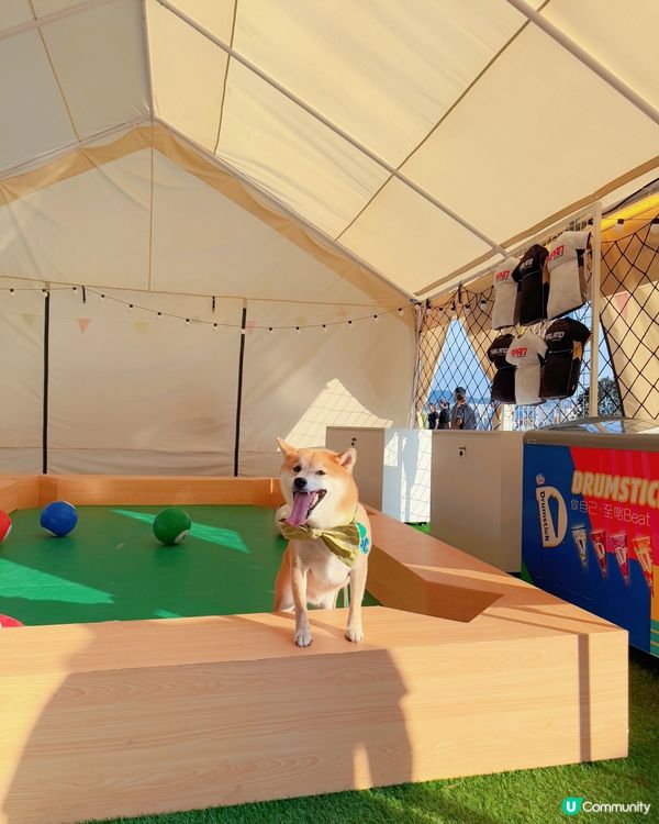 暑假玩樂推介！啟德嘉年華🎡！ (14字)