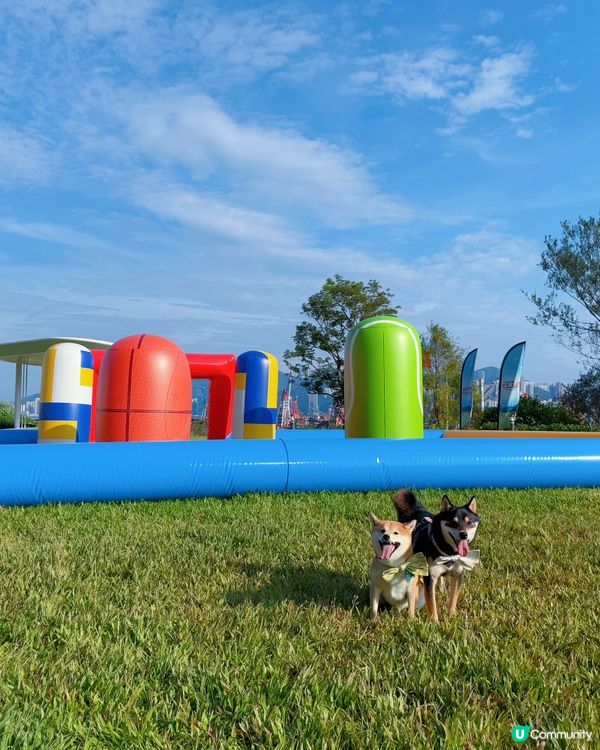 暑假玩樂推介！啟德嘉年華🎡！ (14字)