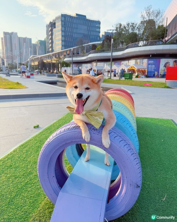 暑假玩樂推介！啟德嘉年華🎡！ (14字)