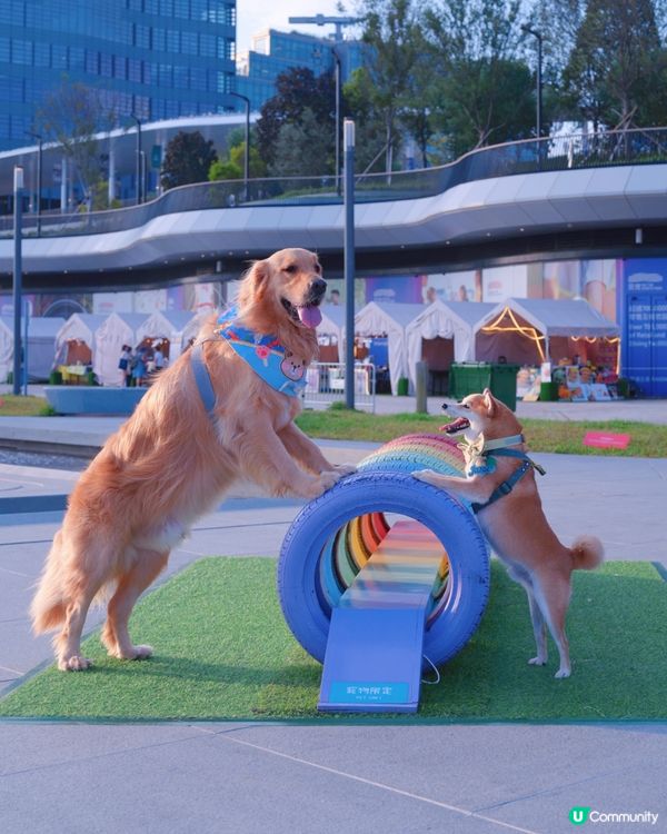 暑假玩樂推介！啟德嘉年華🎡！ (14字)