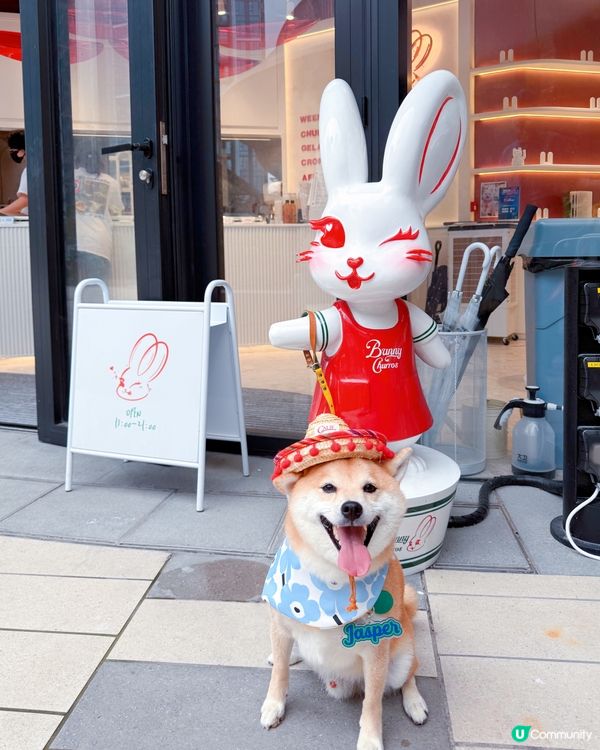 西沙快閃甜品約會！爬積玩到癲🥳