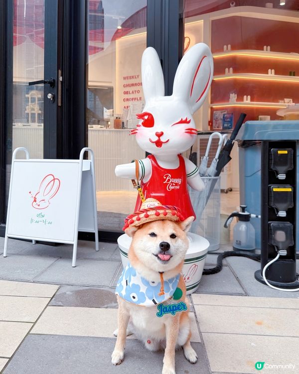 西沙快閃甜品約會！爬積玩到癲🥳