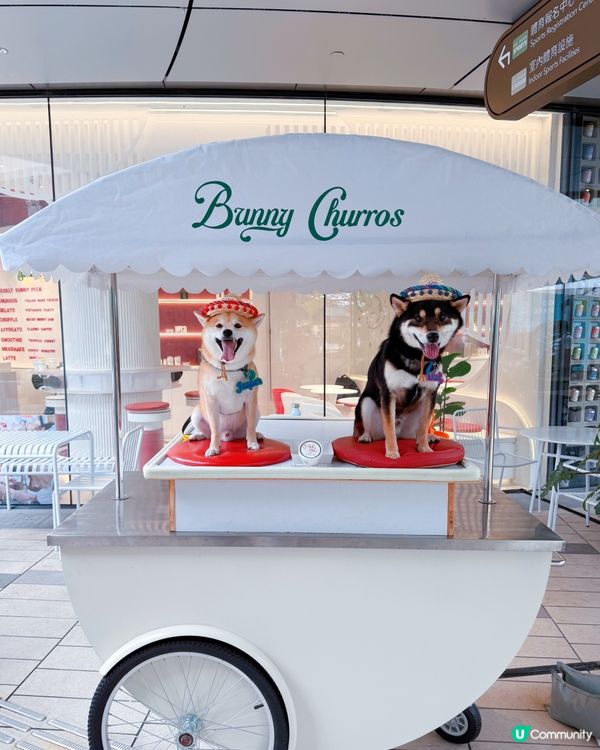 西沙快閃甜品約會！爬積玩到癲🥳