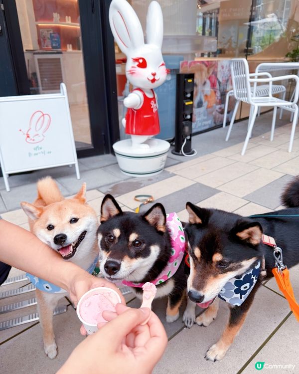 西沙快閃甜品約會！爬積玩到癲🥳