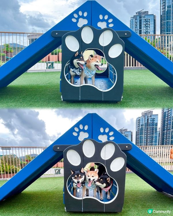 西沙快閃甜品約會！爬積玩到癲🥳