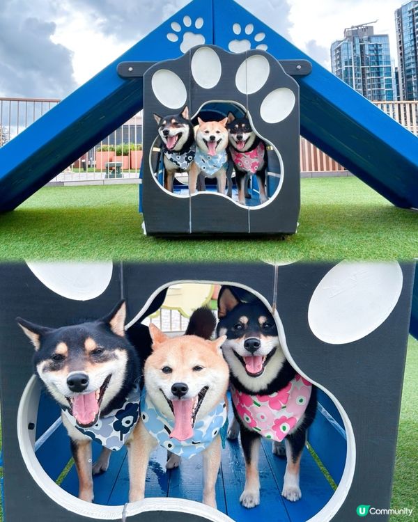 西沙快閃甜品約會！爬積玩到癲🥳