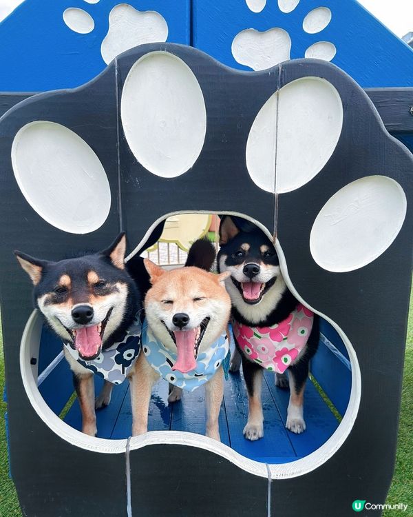 西沙快閃甜品約會！爬積玩到癲🥳