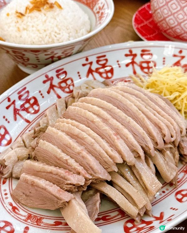 十中選一的「白羅曼鵝」阿城鵝肉的美味