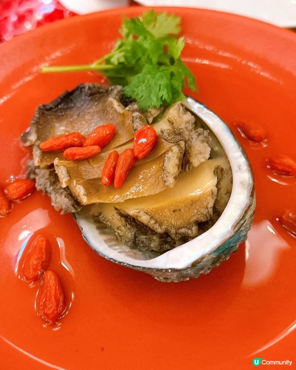 十中選一的「白羅曼鵝」阿城鵝肉的美味