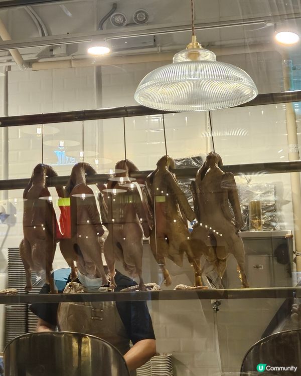 阿城鵝肉登陸香港！🤤 台灣味衝擊味蕾！