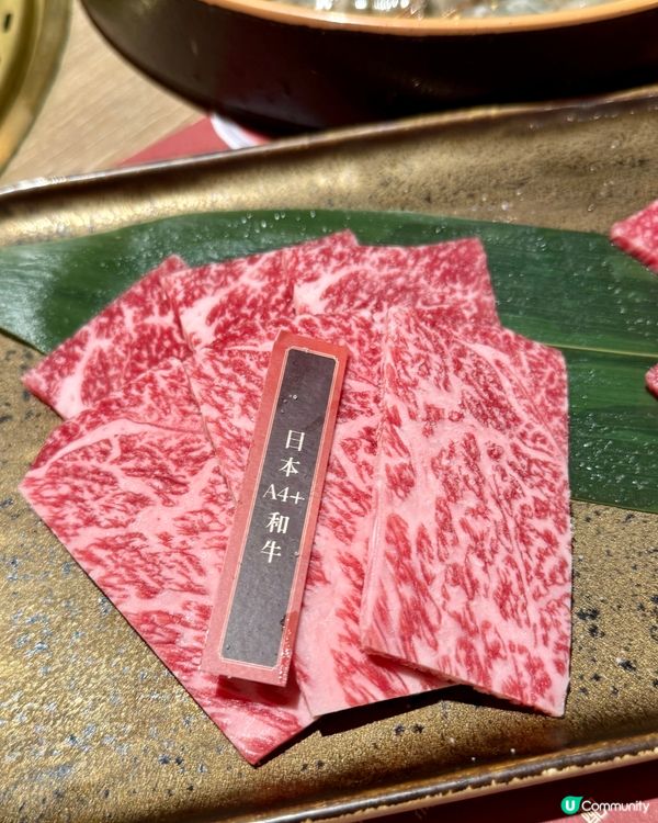 全新台式烤肉餐牌 任食日本A4+和牛🔥🇯🇵🐮