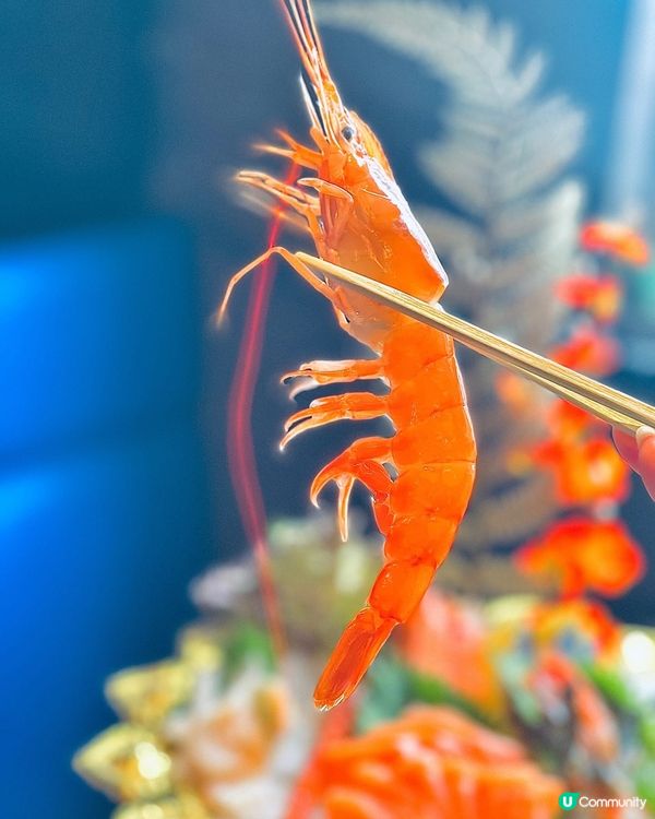 挑戰可以食足六個鐘既日式放題😜